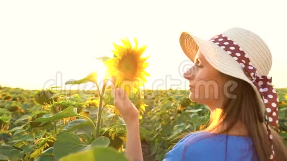 穿着蓝色连衣裙和帽子的女人在田野里嗅着向日葵农业收获视频的预览图