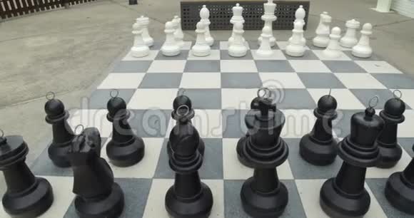 巨大的棋盘与棋子的游戏视频的预览图