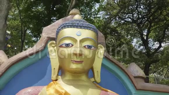 斯韦恩布哈纳寺的佛像尼泊尔加德满都的猴庙视频的预览图