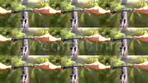 抽象动画墙骑自行车的人骑自行车骑绿色森林视频的预览图