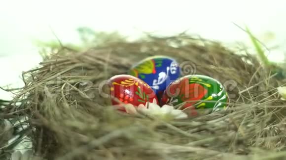 复活节彩蛋躺在巢里视频的预览图