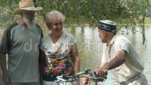 老人在池塘边的柳树下谈话视频的预览图