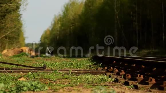 森林里废弃的铁轨视频的预览图