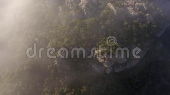 山雾空中建立丛林视频的预览图