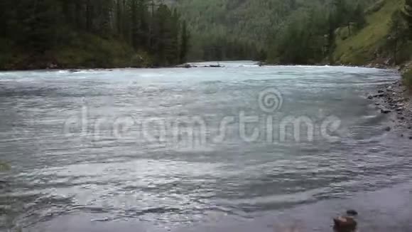 从阿尔泰山库赫林斯基湖流出的老库切拉河视频的预览图