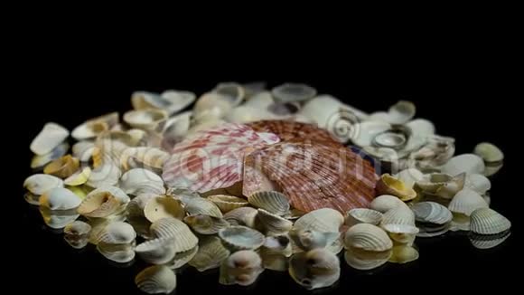 灰色贝壳上的粉红色贝壳在镜桌上慢慢旋转视频的预览图