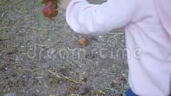 一个小孩用全力试图从石榴树上撕下一颗石榴视频的预览图