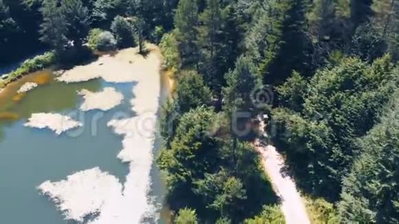 林中湖泊的鸟瞰图视频的预览图