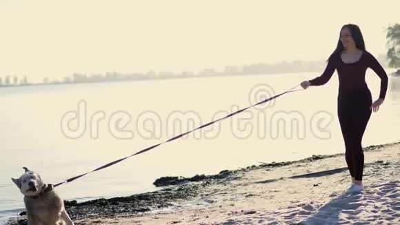 在河岸上在海滩上日出时一个穿着紧身衣的漂亮女人和一只哈斯克品种的狗一起散步视频的预览图