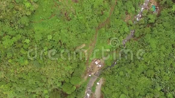 洛基山崎岖曲折的道路上长满了天然生长的树木视频的预览图