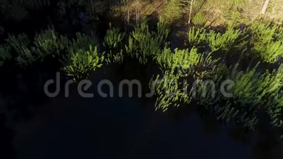 无人驾驶飞机在森林小湖上拍摄的空中镜头视频的预览图