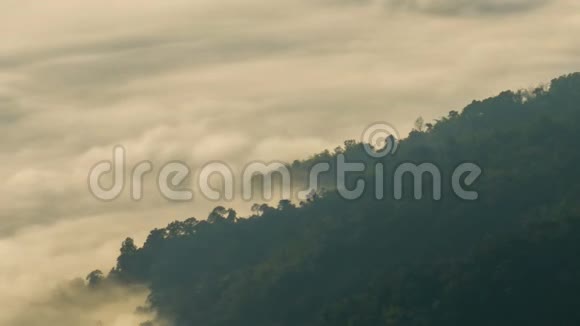 神秘的雾在山林中移动时间流逝视频的预览图