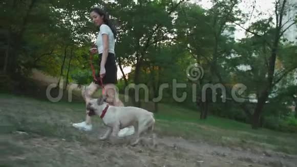 年轻的黑发女子与法国斗牛犬在秋天公园散步视频的预览图