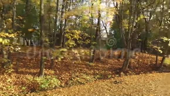 秋天湖畔的房子视频的预览图