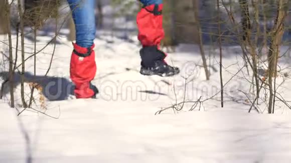 徒步旅行者的双腿穿过深深的雪视频的预览图