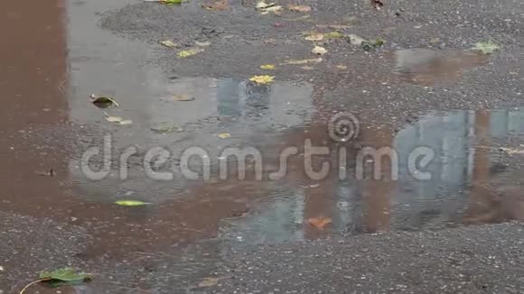 秋雨湿路上房子的倒影视频的预览图
