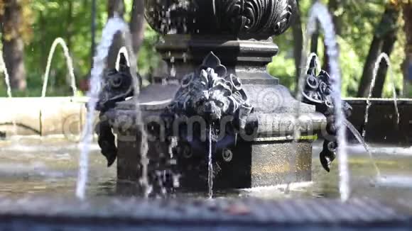 狮子头喷泉喷水视频的预览图