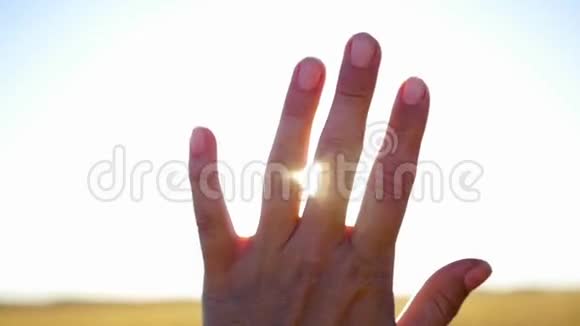 太阳的光芒穿过双手的手指视频的预览图
