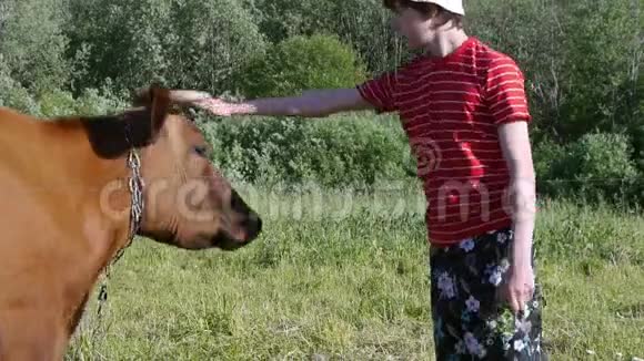 牧场上的少年抚摸着奶牛年轻一代农民视频的预览图