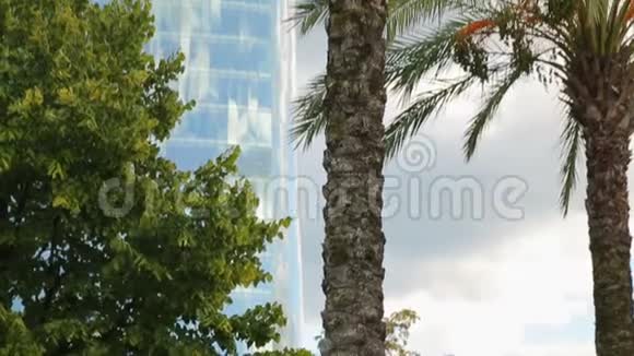高耸于绿色公园之上的高玻璃摩天大楼现代城市建筑视频的预览图