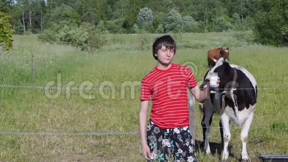 学龄儿童站在牧场上与奶牛站在一起拿着一杯新鲜牛奶视频的预览图