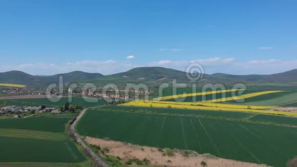 空中无人机在田野里拍摄美丽的黄色油菜花视频的预览图