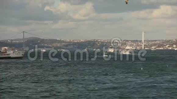 博斯普鲁斯大桥前景游船与游客和海鸥游乐船的背景视频的预览图