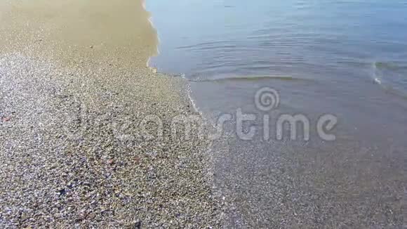 夏季海浪冲刷着沙滩和贝壳丰富的海岸线平静水面视频的预览图
