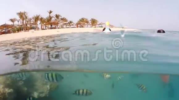 水下水面珊瑚鱼和度假海滩的开阔视野视频的预览图