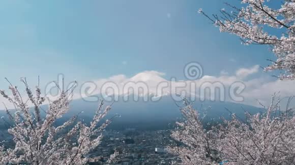 日本三仓树与富士山视频的预览图