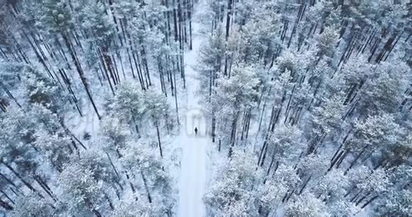 4空中射击在冰冻的雪云杉森林上空飞行北方冬季景观上面的风景美丽的自然背景视频的预览图