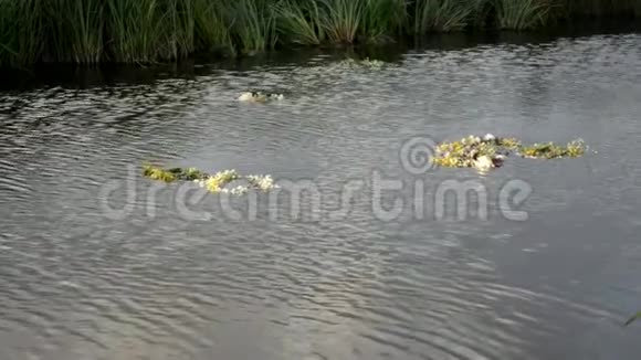 花是由各种各样的花组成的漂浮在水面上视频的预览图