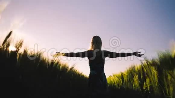 年轻女子沿着麦田奔跑的剪影模仿飞鸟的翅膀太阳耀斑从小麦中升起视频的预览图