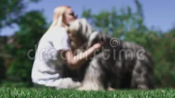 女人抚摸她坐在草地上的狗视频的预览图