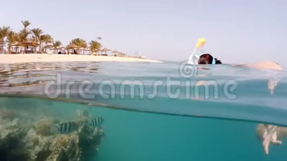 水下水面珊瑚鱼和度假海滩的开阔视野视频的预览图