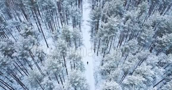 4空中射击在冰冻的雪云杉森林上空飞行北方冬季景观上面的风景美丽的自然背景视频的预览图