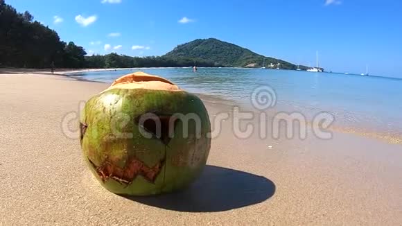 新鲜的绿色椰子雕刻着万圣节的脸晴天躺在沙滩上的沙滩上视频的预览图