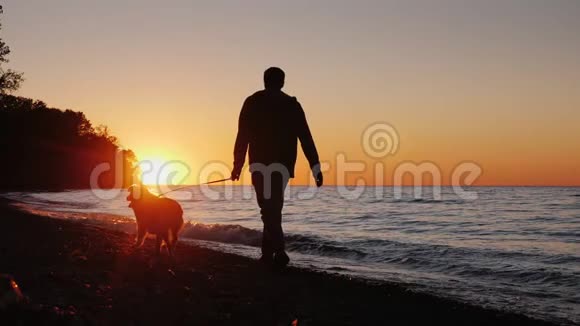 日落时分一个孤独的人和一只狗在湖边或海边散步后视图视频的预览图
