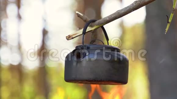 一个拿着柴火和斧头的徒步旅行者走近烧水壶的炉火视频的预览图