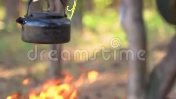 一个拿着柴火和斧头的徒步旅行者走近烧水壶的炉火视频的预览图