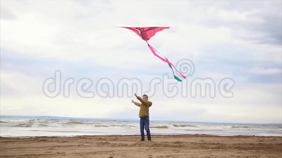 穿夹克的男孩在海滩上玩风筝寒冷的天气和海浪视频的预览图