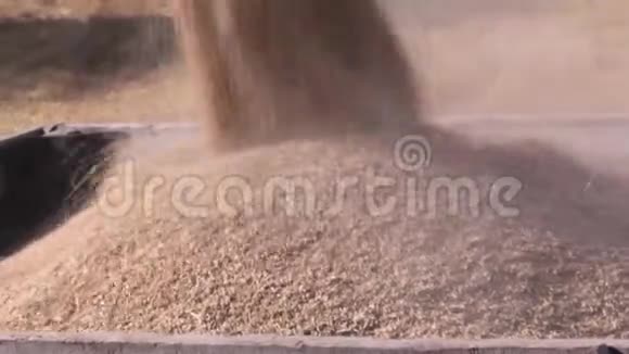 谷物填满了卡车的车身收割谷物的录像运行中的特种农机视频的预览图