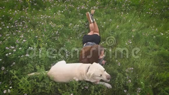 美丽的女主人躺在草地上爱抚她的拉布拉多犬视频的预览图