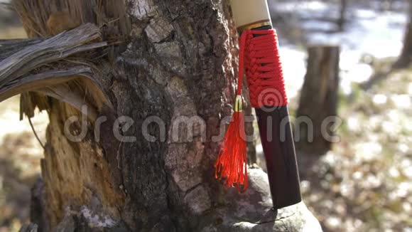 日本短剑红色流苏靠近树视频的预览图