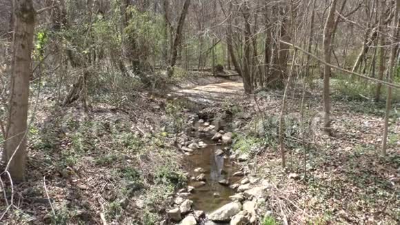 佐治亚州查塔霍切河一条从树林流入河流的小溪视频的预览图