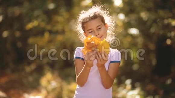 小女孩在黄秋林里捧着黄叶美丽的阳光小女孩在秋天散步视频的预览图