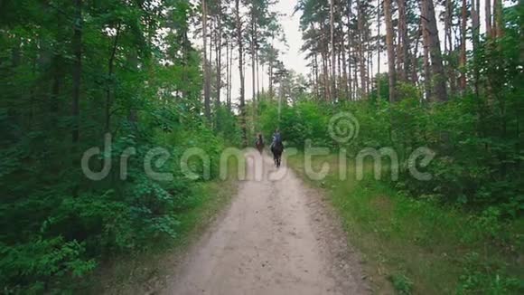 骑马的女骑手在穿过森林的道路上视频的预览图