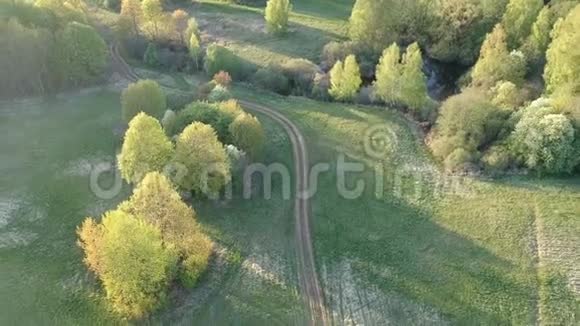 参考译文医生用道路飞越美丽的春景视频的预览图