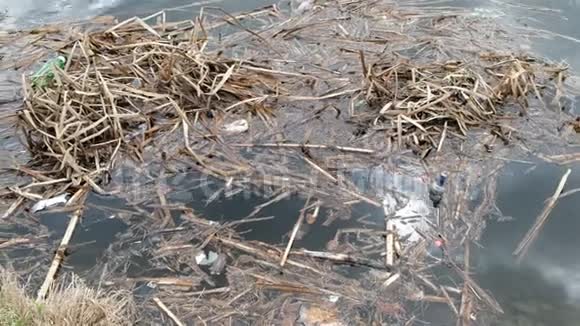 河边的垃圾污染生态和环境保护概念视频的预览图
