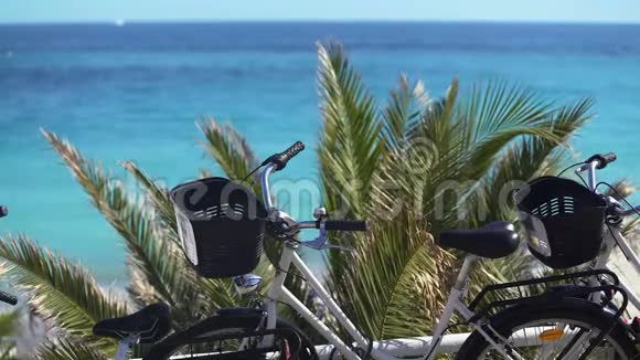 海滩附近的自行车积极休息的绿色交通和生态保护视频的预览图